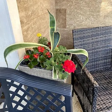 Apartamento Casa Del Sole - Beautiful In Bulgaria Varna